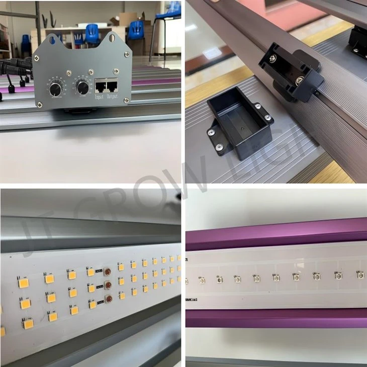 UV grow light