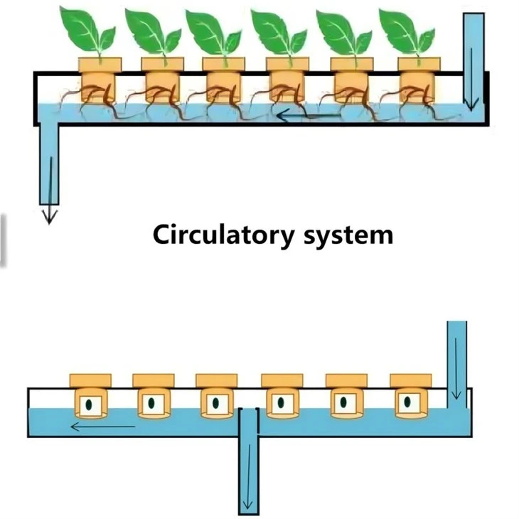 hydroponic