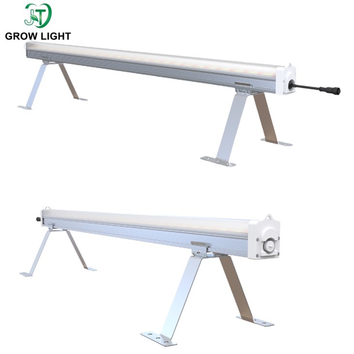 supplemental lighting cannabis