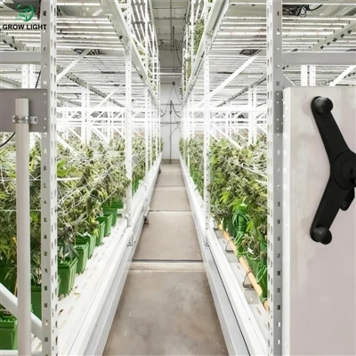 Foldable LED Grow Lights in Low-Ceiling Grow Rooms: What Actually Works and What Doesn't